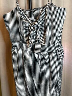 Potter's Pot Black and White Gingham Dress